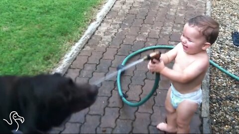 Cute funny baby videos