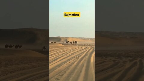 #thar #rajeshthan #travel #vlogger #shortvideo #shorts