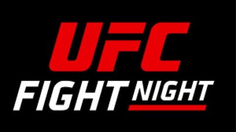 BEST MMA KNOCKOUTS OF 2021 (January) UFC