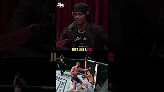 Jiří Procházka is ODD! | Joe Rogan & Jamahal Hill | #ufc #mma #shorts