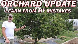 Orchard Update - Learn From My Mistakes On How To Choose A Fruit Tree