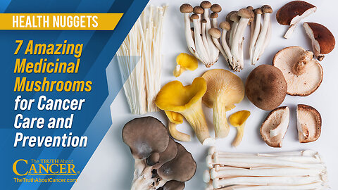 The Truth About Cancer: Health Nugget 77 - 7 Medicinal Mushrooms for Cancer Care and Prevention