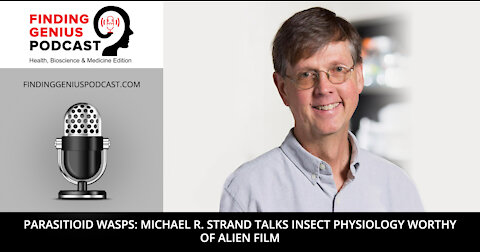 Parasitioid Wasps: Michael R. Strand Talks Insect Physiology Worthy of Alien Film