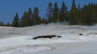 Yellowstone NP Norris Geyser Basin