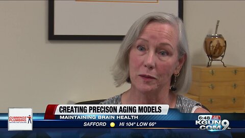UA researchers' proposed strategy to aging brain health