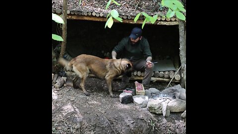 Outdoor cooking with my dog in the wilderness