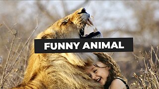 Best funny animal videos compilation 😲😂