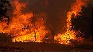 Wildfires Unleashed: Texas and Oklahoma Evacuations