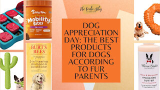 The Teelie Blog | Dog Appreciation Day: The Best Products for Dogs According to Fur Parents