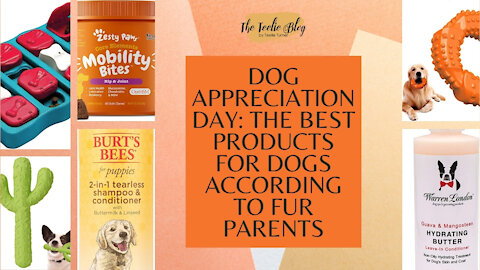 The Teelie Blog | Dog Appreciation Day: The Best Products for Dogs According to Fur Parents