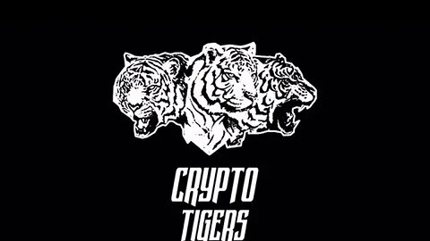 Crypto Tigers #071 - O imperativo moral [part. Renato Amoedo]