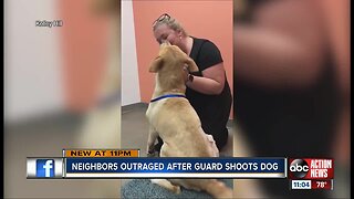Dog recovering after being shot twice by private security guard in family's front yard in Riverview
