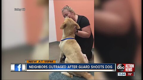 Dog recovering after being shot twice by private security guard in family's front yard in Riverview