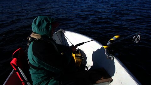 Hassett Lake - 2017 Lake Trout bonanza day