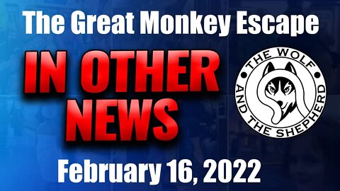 Episode 157 - The Great Monkey Escape