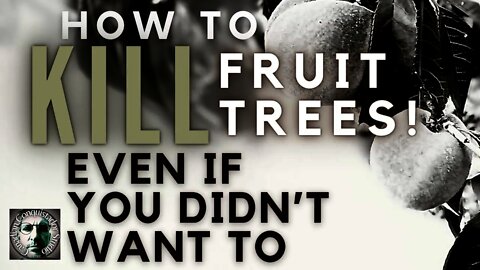 Transplanting Fruit Trees (Revised 2022) #Fruit-trees #Survival-food