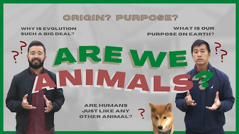 Are we animals?