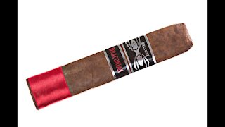 Iconic Leaf Recluse Draconian Sidewinder 1 Cigar Review