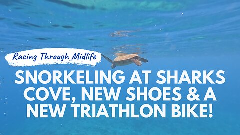 July Week 2 - Snorkeling at Sharks Cove, New Shoes and a New Triathlon Bike!