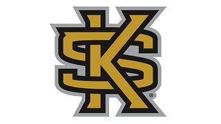 Stetson Hatters vs. Kennesaw State Owls, March 16, 2024