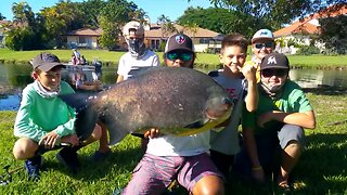 Fishing Giant Monster Pacu in Miami