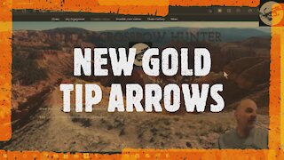 NEW GOLD TIP ARROWS