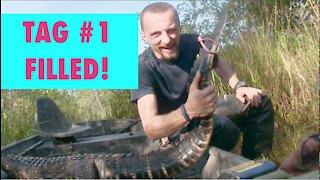 SOLO GATOR HUNT IN THE FLORIDA SWAMP! **TAG #1, FILLED**