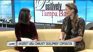Positively Tampa Bay: University Area Game Changer