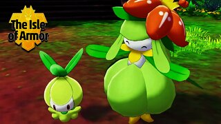 Mother & Child Reunited in Pokemon Sword & Shield Isle of Armor