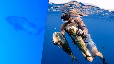 Bluewater Spearfishing & Dropping Big Baits Down with an UNDERWATER CAMERA from the Panga!