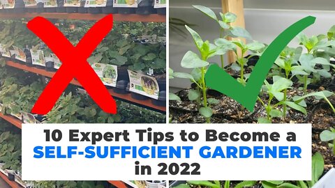 10 Expert Tips to Become a SELF-SUFFICIENT GARDENER in 2022