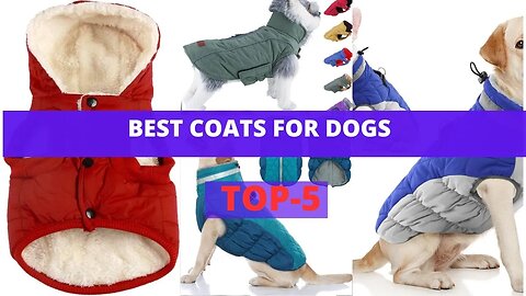 Best Coats For Dogs | Must Use Coats for Your Love