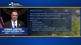 NYS to explore legalizing marijuana