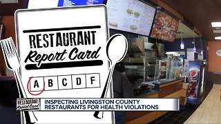 Restaurant Report Card: Pizza parlors, coney islands and bar & grills!