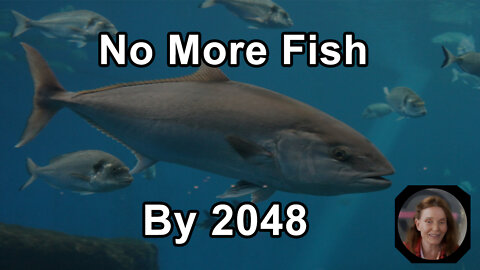 There May Be No More Fish In The Ocean By 2048 - Anna Maria Clement, PhD - Interview