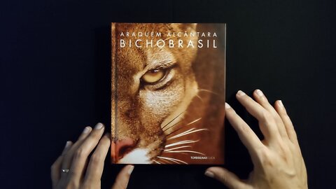 Bicho Brasil - Araquém Alcântara | Tapping, Scratching, Soft Reading | Sounds Book ASMR