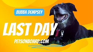 DEMPSEY DOG Last Day on EARTH
