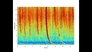 Frequencies, Your Health and the Afterlife