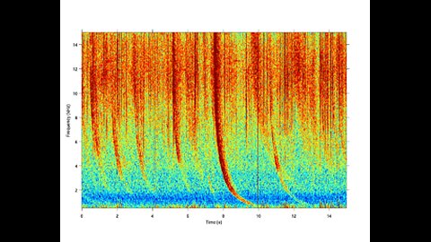 Frequencies, Your Health and the Afterlife