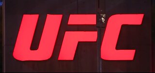 UFC returns to Las Vegas for fight night