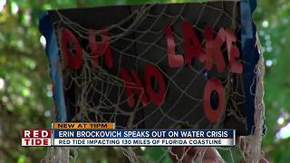 Activist Erin Brockovich urges Floridians to fight for clean water, tours red tide zones