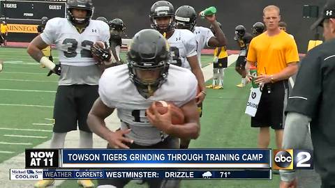 Towson football grinding through training camp