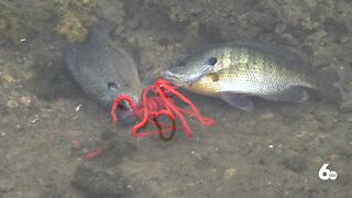 Hooked on Mental Health program gets people out fishing on world mental health day