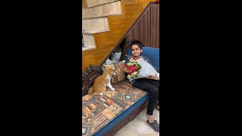 Cat playing with Anu Baba