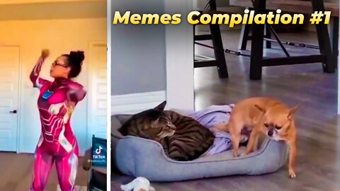 Best Meme Compilation - funny Memes Compilation 2022