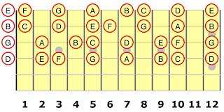 The 4th String for the Guitar Student