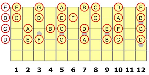 The 4th String for the Guitar Student