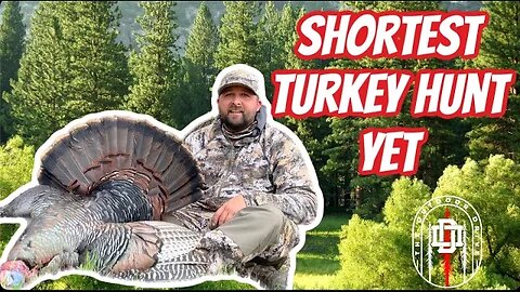 Shortest Turkey Hunt Yet - CT Public Land Long Beard