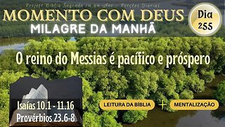 MOMENTO COM DEUS - MILAGRE DA MANHÃ - Dia 255/365 #biblia