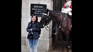 horse makes her laugh #horseguardsparade